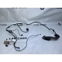 Проводка двери BMW X6 E71 2012 61129243559, 9243557, 9203116