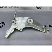 Петля капота BMW X6 E71 2012 41007208628, 41007198618, 41617208630