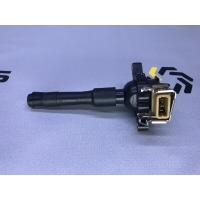 Катушка зажигания BMW x5 e53 2001 12137599219, 12131703228, 12131748017, 12131730412