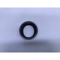 Уплотнительное кольцо BMW X5 E53 13712248157, 13717792090