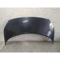 Капот Renault Scenic II (2003-2009) 2008