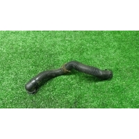 патрубок Audi A8 [D3 4E] 2004-2010 2006 079133889D
