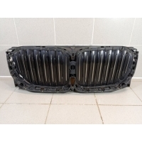 Воздуховод радиатора BMW X5 G05 51745A29C46