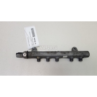 Рейка топливная (рампа) Ssang Yong Actyon Sport (2012 - 2016) 6710700195