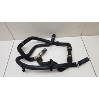 Патрубок Ford Focus III (2011 - 2019) 1836282