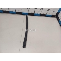 Уплотнитель двери Toyota Tundra (2007 - 2013) 681920C010
