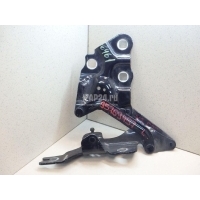 Петля капота левая BMW X3 F25 (2010 - 2017) 41617262875