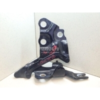 Петля капота правая BMW X3 F25 (2010 - 2017) 41617262876