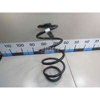 Пружина передняя BMW X3 F25 (2010 - 2017) 31336787137