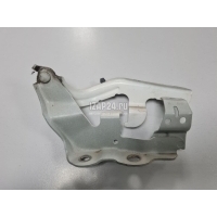 Петля капота правая Toyota Camry V50 (2011 - 2018) 5341006200