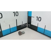 Болт полый Citroen-Peugeot C-Crosser (2008 - 2013) 4010E9