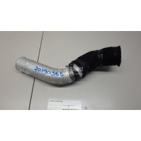 Патрубок интеркулера Ssang Yong Actyon New/Korando C 2010 2381234100