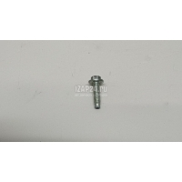 Болт Renault Kangoo 2008 7703002660