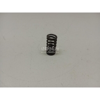 Пружина клапана Land Rover Range Rover Evoque (2011 - 2018) LR001240