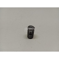 Пружина клапана Land Rover Range Rover Evoque (2011 - 2018) LR001240