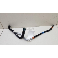 Трубка топливная Land Rover Range Rover Evoque (2011 - 2018) LR072002