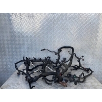 Проводка двигателя Land Rover Discovery Sport L550 (2014 -2019) Внедорожник 2017 LR094608