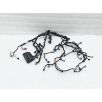 Проводка двигателя Nissan Qashqai J11 2016 24011BM91C