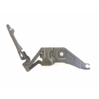 Петля капота BMW X6 E71 41007198617, 7208627