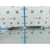 Молдинг двери Haval H9 2021 5500440XKV08A