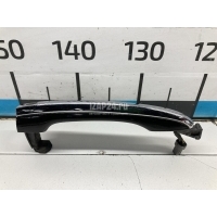 Ручка двери наружная левая Hyundai-Kia Equus (2009 - 2016) 826513N000