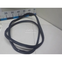 Уплотнитель двери Mercedes Benz W246 B-klasse (2012 - 2018) 2466920176