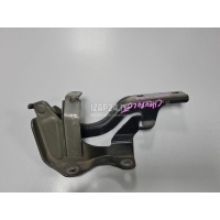 Петля капота правая GM Captiva (C140) (2011 - 2016) 95049937