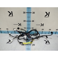 Проводка (Коса) Exeed TXL M32 2020- 402002649ABABK