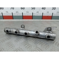 Рампа топливная (топливная рейка) Audi A6 C6 (2004-2011) 2007 059130089M,059130089M