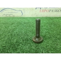 болт Audi A8 [D3 4E] 2004-2010 2006 8E0407643A