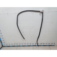 Уплотнитель двери Nissan Almera (G15) (2013 - 2018) 769234AA0B