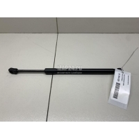 Амортизатор капота BMW X5 F15/F85 (2013 - 2018) 51237294524