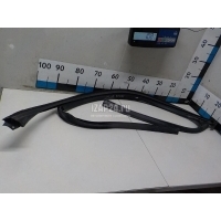 Уплотнитель стекла двери BMW X5 F15/F85 (2013 - 2018) 51337289618