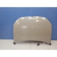 Капот Volkswagen Polo 2009-2015 8120268