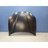 Капот BMW X1 E84 2009-2015 BM06001500000