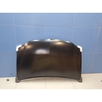 Капот Renault Logan 2005-2014 DC01001500000