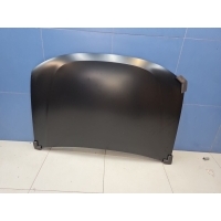 Капот Renault Duster 2010- DC60001500000