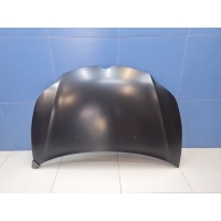 Капот Citroen C4 2005-2011 CT20022B