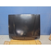 Капот 1990-1998 STTY880150