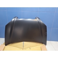 Капот Hyundai Tucson JM 2004-2010 STHN500150