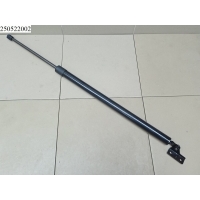 Амортизатор двери багажника левый Zekkert Starex (H1) 1998-2007 Hyundai GF-2013,GF2013,817804A110,817804A140,817804A100,417714G110,417714G010,817804A140DS,817804A130,817804A130DS