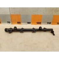 Рейка топливная (рампа) Renault Megane 2 2007 8200135504