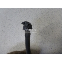 Форсунка омывателя лобового стекла Renault Sandero 2014 289307214R