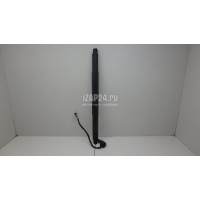 Амортизатор двери багажника BMW X6 F16/F86 (2014 - 2020) 51247318651
