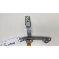Петля двери багажника BMW X6 F16/F86 (2014 - 2020) 41007387531