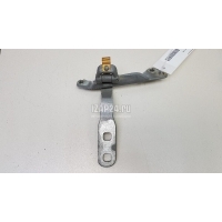 Петля двери багажника BMW X6 F16/F86 (2014 - 2020) 41007387532