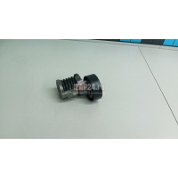 Натяжитель ремня VAG Exeo (2009 - 2013) 038903315AH