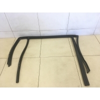 Уплотнитель стекла двери BMW X1 E84 2009> 51352990319