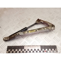 Петля капота правая Mercedes-Benz ML W163 1999 0488VQ0850N