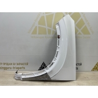 Крыло Omoda C5 T19C 2022-2024 553000312AADYJ